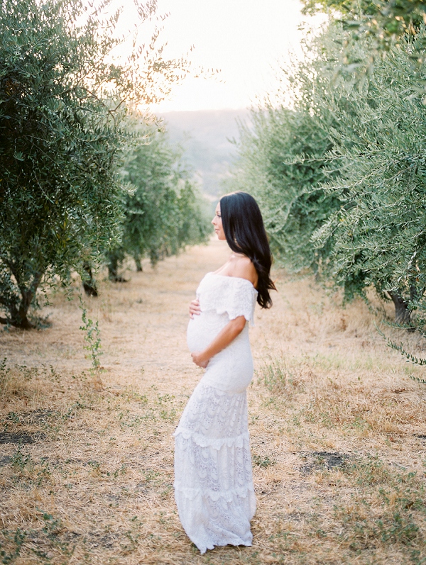 Napa Olive grove maternity photos